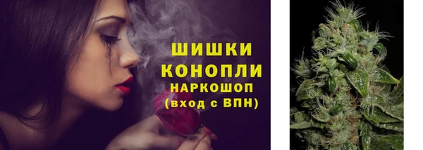 прущие крисы Магас