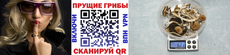 Галлюциногенные грибы MAGIC MUSHROOMS наркотики Трёхгорный